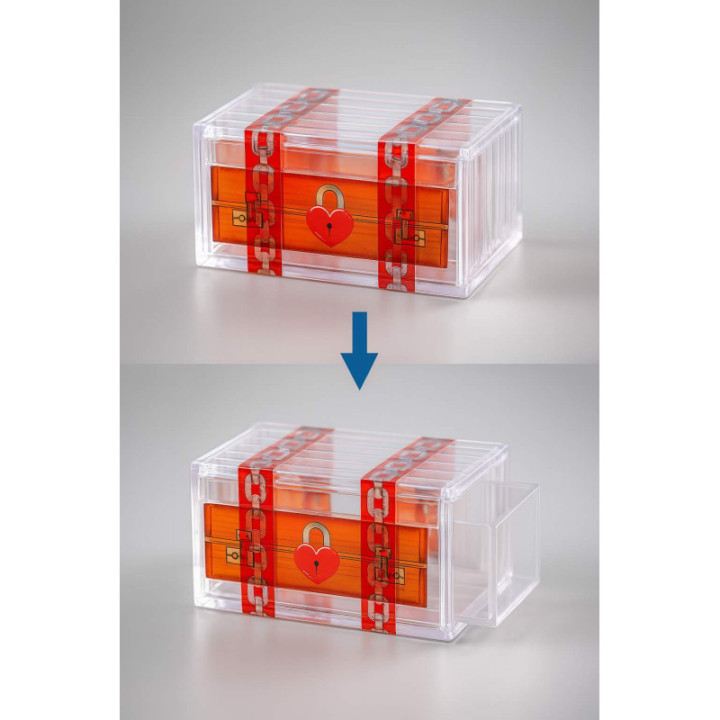 Forziere Segreto Rompicapo - The Treasure Box Puzzle