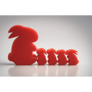 Coniglietti a Sorpresa - Surprise Bunnies